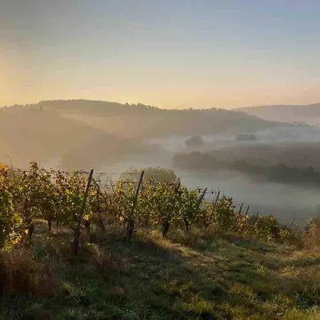Idyllische Gemuetlichkeit I Schwaebische Toskana I 15min Von Stuttgart Vaihingen an der Enz